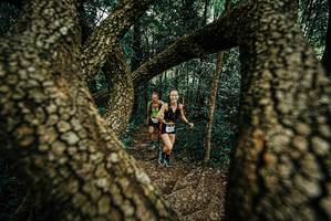 BIB: 
                            <button type="button" onclick="openModal(25668080)" class="btn btn-primary btn-sm float-right btn-popup" data-toggle="modal" data-target=".modal-high-quality">
                        <i class="fas fa-shopping-cart"></i> Add to Cart
                    </button>
                                            <button type="button" onclick="isThisMe(25668080, true)" class="btn btn-success btn-sm float-right btn-popup btn-isme hidden" data-toggle="tooltip" data-placement="bottom" title="นี่คือรูปของคุณใช่ไหม คลิกที่นี่เพื่อเอาเข้าอัลบั้ม">
                        <i class="fas fa-plus"></i> Add to album
                    </button>
                    <button type="button" onclick="isThisMe(25668080, false)" class="btn btn-warning btn-sm float-right btn-popup btn-isnotme hidden">
                        <i class="fas fa-ban"></i> Remove from album
                    </button>